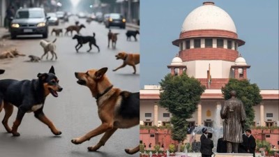 आवारा कुत्तों पर सुप्रीम कोर्ट सख्त : सार्वजनिक सुरक्षा से समझौता नहीं, संवेदनशील जगहों पर सवाल