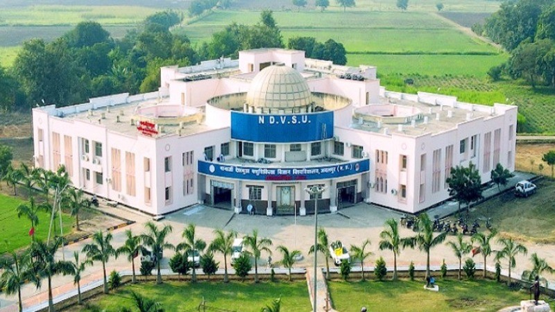 जबलपुर की यूनिवर्सिटी में पंचगव्य कैंसर रिसर्च के नाम हुआ करोड़ों का घोटाला