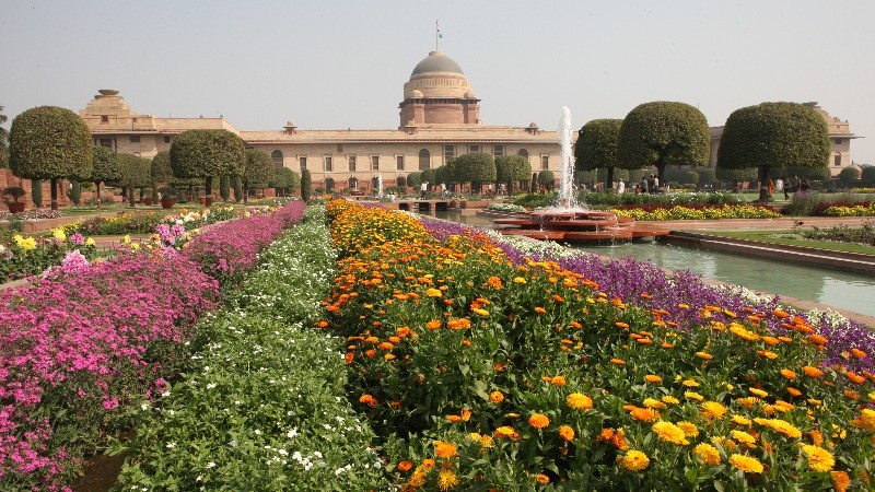 3 फरवरी से आम लोगों के लिए खुलने जा रहा राष्ट्रपति भवन का अमृत उद्यान
