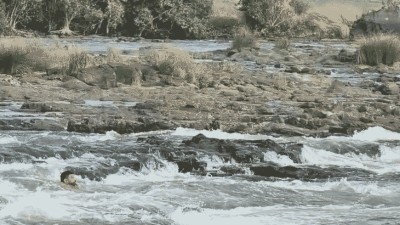 नर्मदा नदी में बहा इंदौर का 30 वर्षीय युवक, बेबस परिवार के सामने नजरों से ओझल