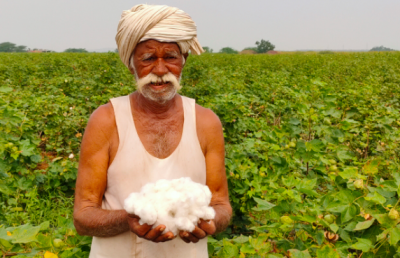 अपनी उपज क्यों नहीं बेच पा रहे महाराष्ट्र के कपास उगाने वाले किसान ?