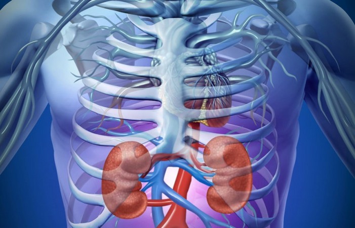 these-5-symptoms-indicate-the-kidney-problem-newstrack-english-1