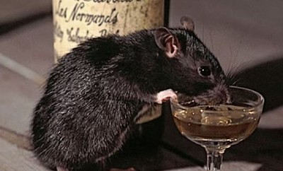 'कोतवाली में रखी शराब पी गए चूहे...', MP के थाने से सामने आई चौंकाने वाली घटना