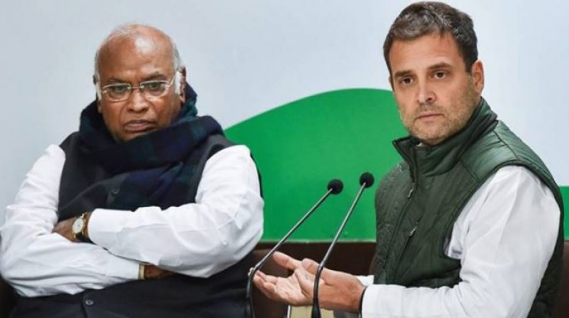 'राहुल गांधी जी ने देश के लिए जान दे दी..', कांग्रेस अध्यक्ष मल्लिकार्जुन खड़गे की फिसली जुबान, नेटिजेंस बोले- ये कब हो गया..?