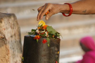 If you are unable to offer Bilva leaves to Lord Shiva daily, then offer one of these 4 leaves!