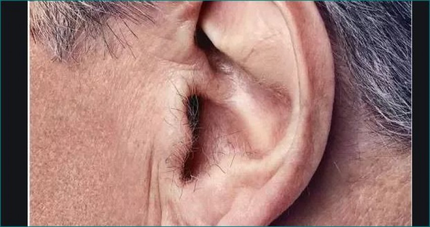 Astro Gyan: Know secrets of people having hair on ears | NewsTrack English 1