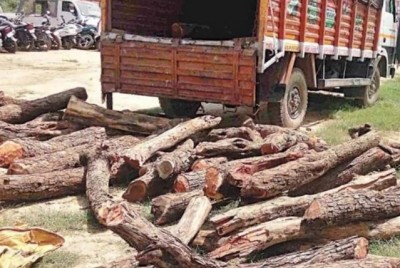 Criminals were smuggling Khair wood, police exposed this way