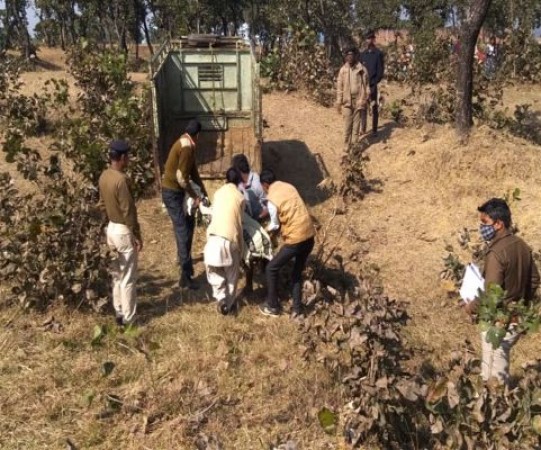 Ranchi: Process of crime increasing rapidly, head of woman found in forest