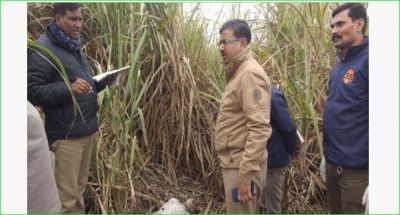 Dead body found in a deformed condition in sugarcane field, police engaged in investigation