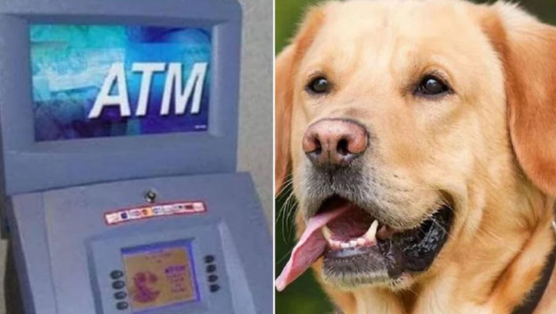 Loot of lakhs deterred due to dogs, miscreants ran away leaving ATM