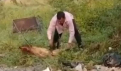 Doctor killed dog with knife in Gwalior, video goes viral