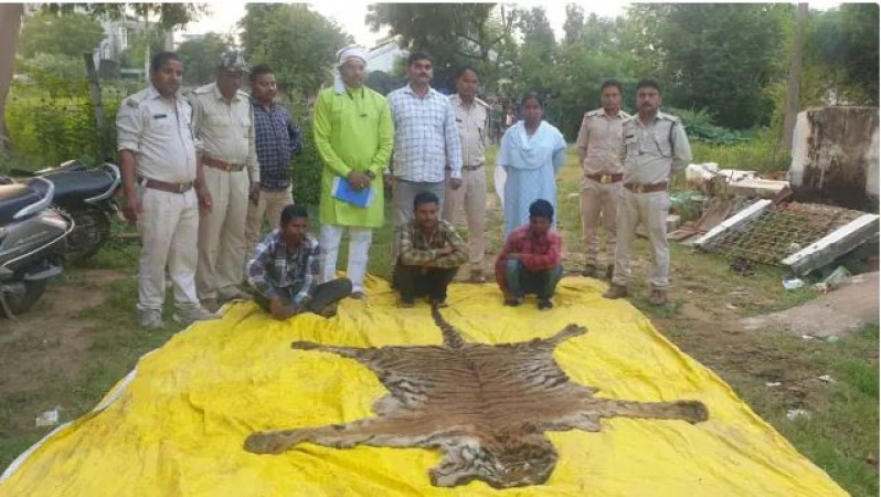 Chhattisgarh: 6 smugglers arrested with tiger and leopard skin, 5 still absconding