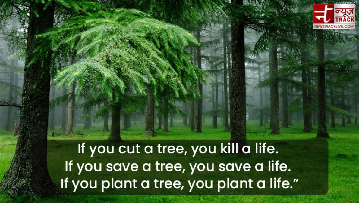 Quote on Tree : Plant a tree today, It will help us breathe ...