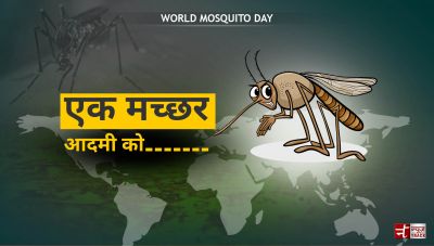 विश्व मच्छर दिवस : खतरनाक बीमारी के लिए जिम्मेदार है महिलाएं
