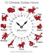 Amazing facts about 'Chinese Astrology'