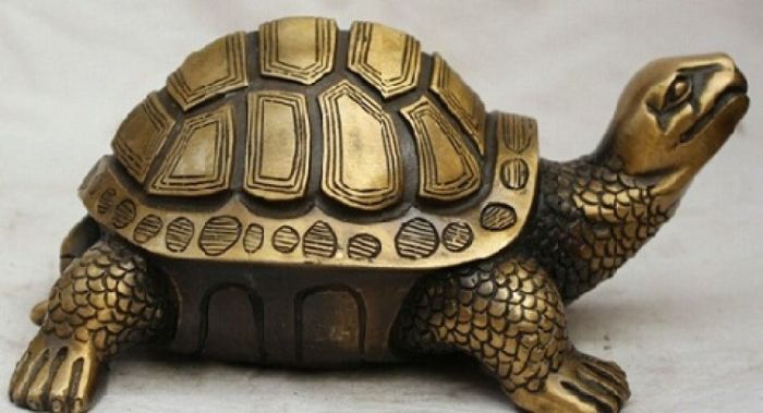 This metal tortoise can bring all the good luck in your house! | NewsTrack English 1