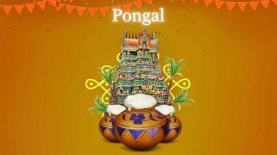 South Indian Pongal 2024: Celebration of Harvest Across Tamil Nadu, Andhra , Karnataka, and Kerala