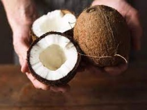 If the coconut has gone bad during puja then the puja has been accepted, these are the signs