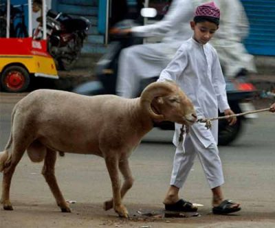 8 facts about Bakri's that hardly anyone knows