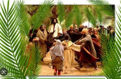 That's why this day is called Palm Sunday.