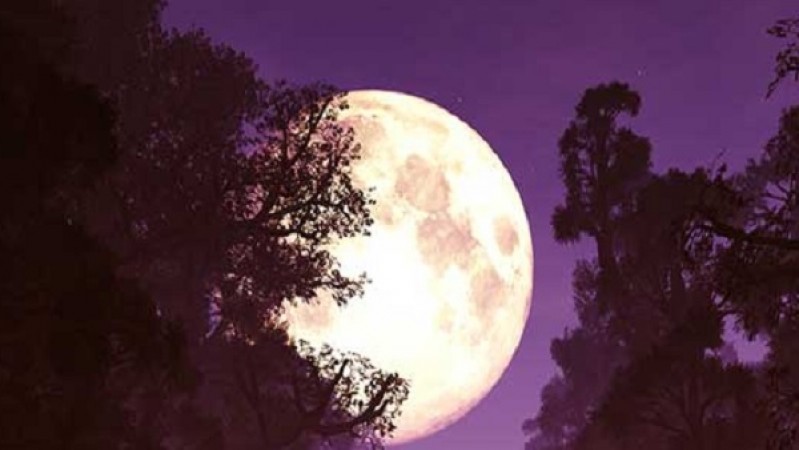 चंद्र दर्शन का पहला दिन आज, इस तरह चंद्रदेव की पूजा