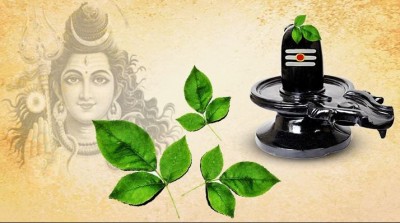 The Spiritual Significance of Offering a Three-Leaf Belpatra to Lord Mahadev