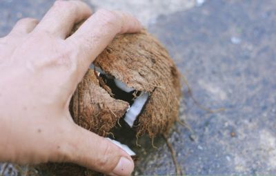 क्यों है पाबन्दी स्त्रियों के नारियल फोड़ने पर