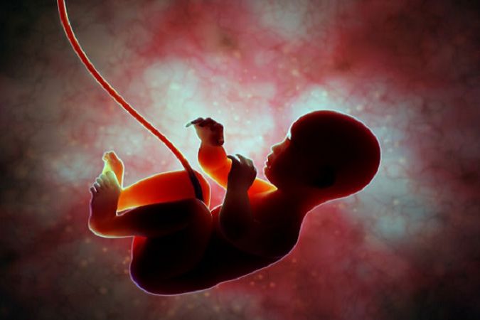 मां के गर्भ में बच्चा 9 माह ही क्यों रहता है? जानें इसका कारण