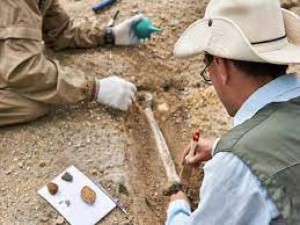 Landmark Discovery: 167-Million-Year-Old Dinosaur Fossil Unearthed in India