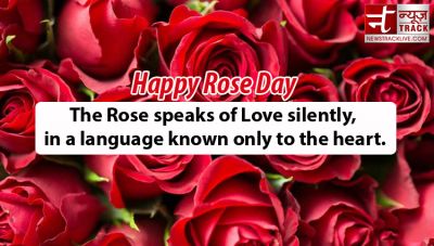 Rose Day Special: Rose colour tells much about your loves…know here