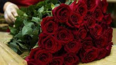 What is the story of Rose Day, why do we express love with roses?
