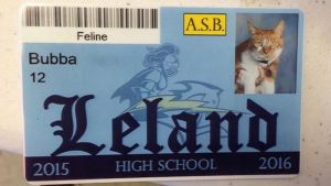Moggy Bubba the cat with his own student ID Card