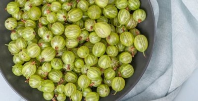 What are the benefits of eating Amla daily?