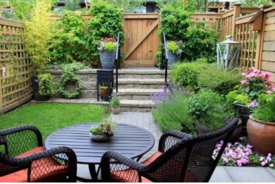 कम जगह में भी आप बना सकते हैं घर पर खूबसूरत बगीचा, इन पांच आसान तरीकों से