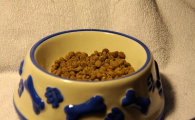Pet Food Taster: Ensuring the Quality and Safety of Pet Food Products by Tasting Them
