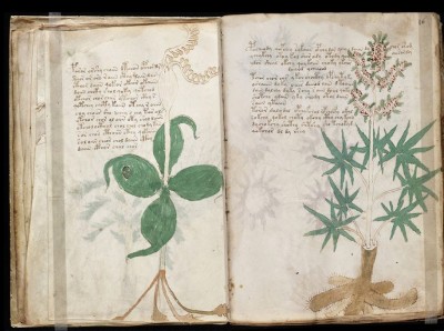 The Voynich Manuscript: Delving into the Enigmatic and Undeciphered Medieval Manuscript