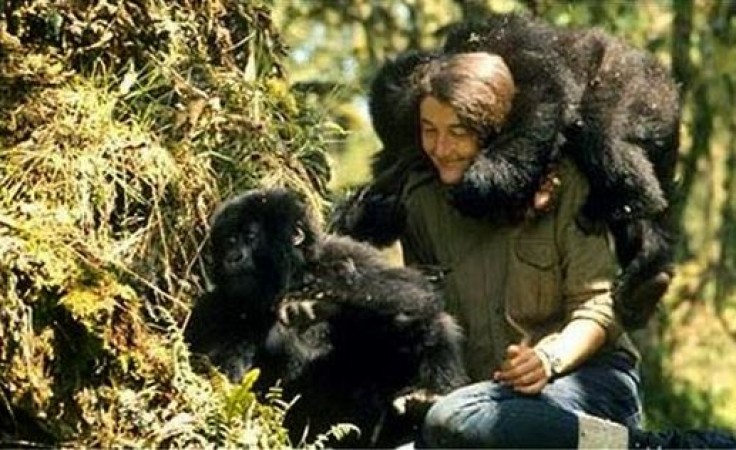 The Woman Who Lived with Gorillas: The Inspiring Story of Dian Fossey