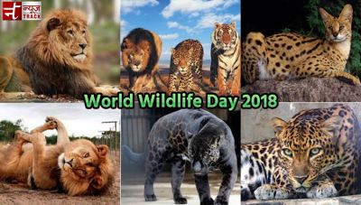World Wildlife Day 2018: Predators under threat