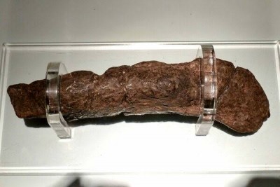 Freakish record! World's largest poop on display at UK museum