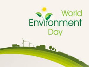 World Environment day 2018:  Know the significance of sustainable cremation in India