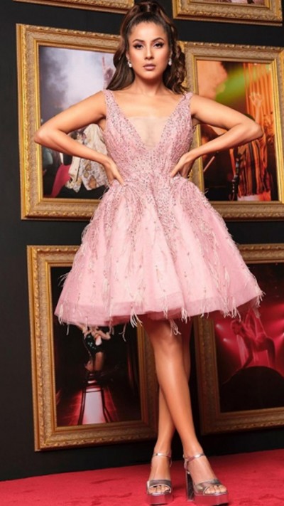 Shehnaaz Gill Breathtaking look in Barbie dress