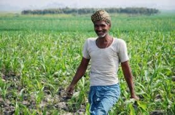 More than 3 lakh default farmers will get new loan