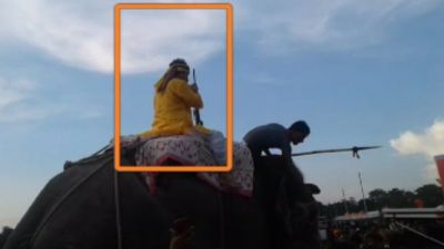 MLA Vinay Bihari seen with rifle in hands while riding Elephant, Police turned mute spectator