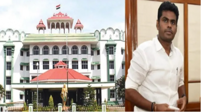 'लोकतंत्र के सजग प्रहरी हैं अन्नामलाई..', मद्रास हाई कोर्ट ने क्यों की भाजपा नेता की तारीफ ?