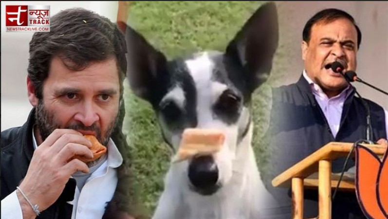 ‘Congress leaders ate biscuits from same plate as Rahul Gandhi’s pet dog’: Himanta Biswa
