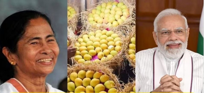 Leaving the election tension, Mamta started a new trick...! Send 3 types of mangoes to PM Modi