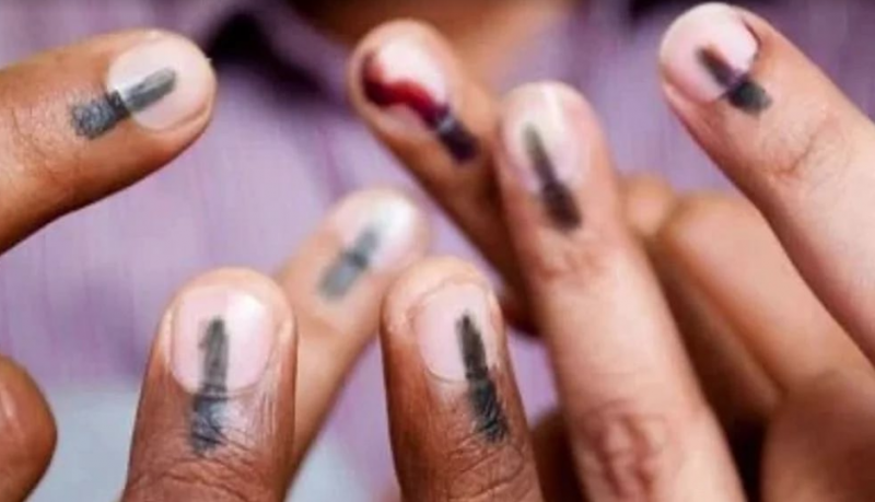 6 lakh 62 thousand 469 voters will participate in panchayat elections