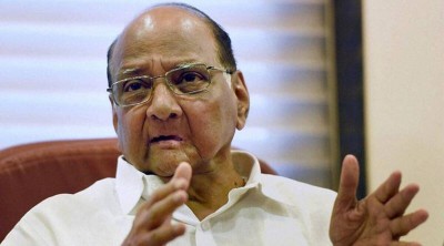 Sharad Pawar said on the question of PM's face - 'I will not contest elections at all'