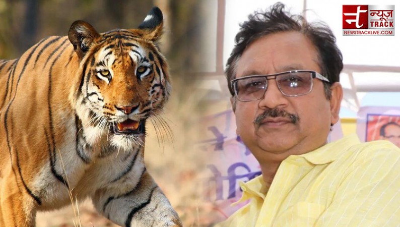 38 tigers killed not serious, 40 to 45 tigers should die: Forest Minister