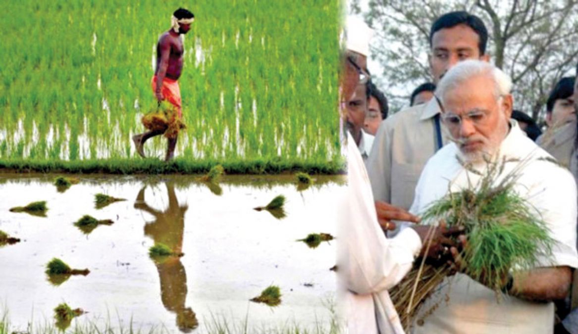 प्रधानमंत्री किसान मानधन योजना में झारखंड को मिला दूसरा स्थान, सीएम रघुबर ने दी किसानों को बधाई